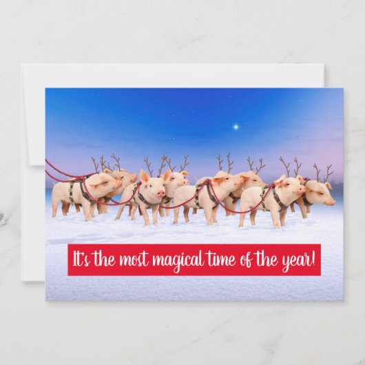 Invitation Rennes Cochons (Devant)