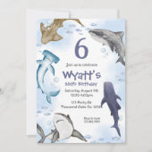 Invitation Requin,  (Devant)