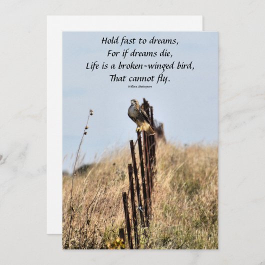 Invitation Retenez Rapidement aux rêves (Devant / Derrière)