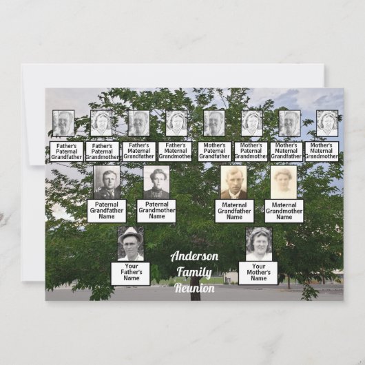 Invitation Réunion familiale Arbre d'été de 3 générations (Devant)