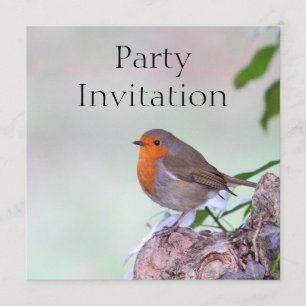 Invitation Robin Redmamy