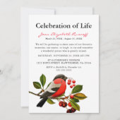 Invitation Robin rouge | Fête Des Oiseaux Du Printemps De La (Devant)