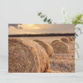 Invitation Rolls de foin (Debout devant)