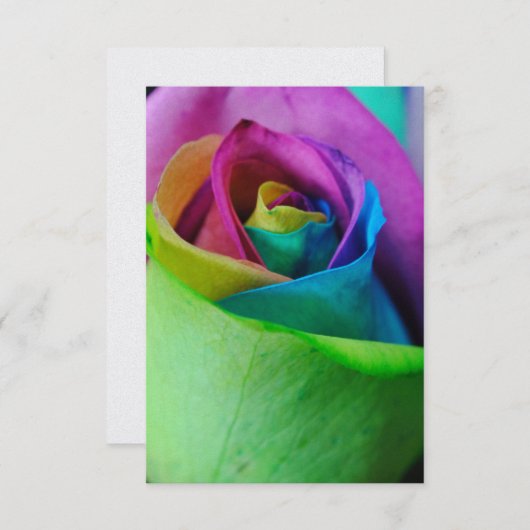 Invitation Rose arc-en-ciel 5 (Devant / Derrière)