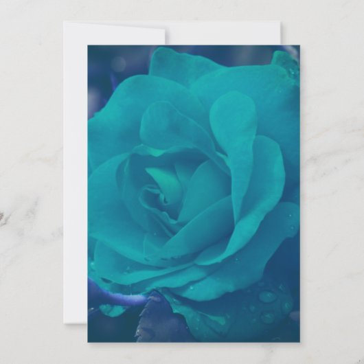 Invitation Rose bleu Aqua (Dos)