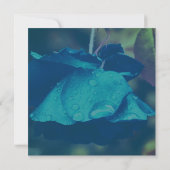 Invitation Rose Bleue Avec Fleurs De Gouttes De Pluie (Dos)