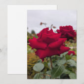 Invitation Rose cramoisie veloutée (Devant / Derrière)