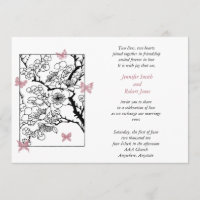 Rose de Butterfly Dreams