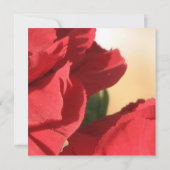 Invitation Rose de coin rouge Mariage (Dos)
