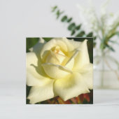 Invitation rose d'ivoire (Debout devant)