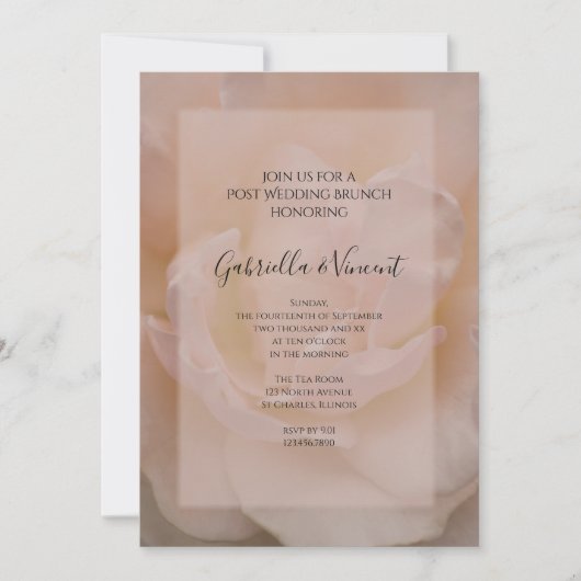 Invitation Rose Florale Rose Pâle Fête Post Mariage Brunch (Devant)