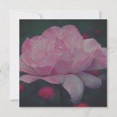 Invitation Rose florale rose rêveur  (Dos)