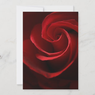 Invitation Rose INVITATIONSRed