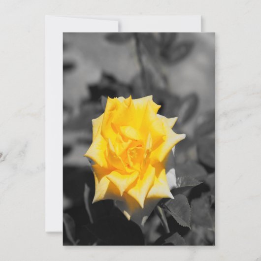 Invitation Rose jaune (Devant)