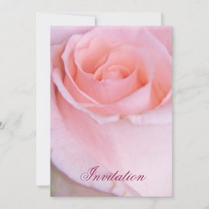 Invitation Rose rose_