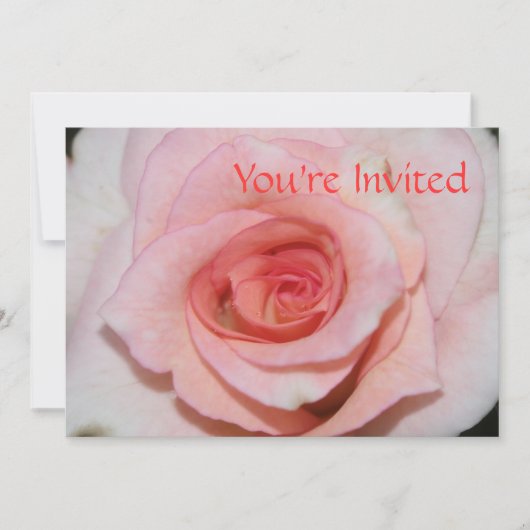 Invitation Rose Rose (Devant)