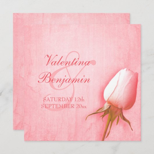 Invitation Rose rose pâle buse mariage carré (Devant / Derrière)