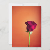Invitation Rose rouge Orange coucher de soleil Mariage romant (Dos)