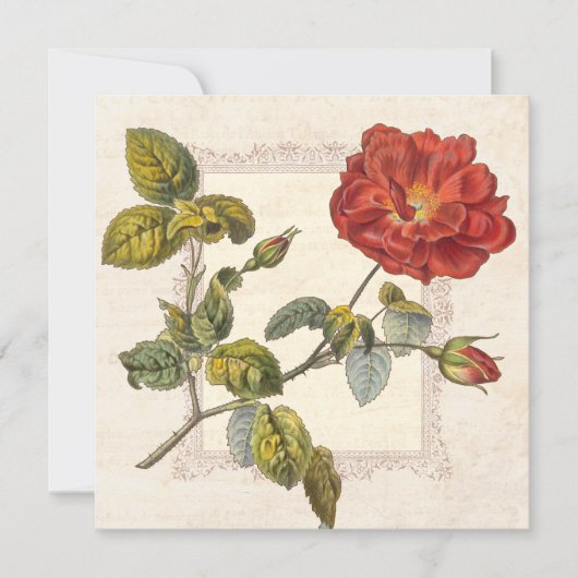 Invitation Rose vintage Botanique Anniversaire Garden Party (Devant)