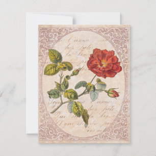 Invitation Rose vintage Botanique Anniversaire Garden Party