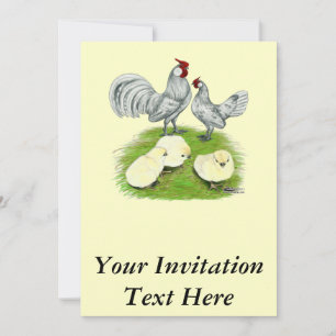 Invitation Rosecomb naine et poussins