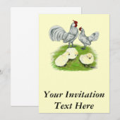 Invitation Rosecomb naine et poussins (Devant / Derrière)
