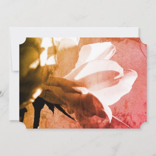 Invitation Roses blanches pour toujours dans nos coeurs servi (Dos)