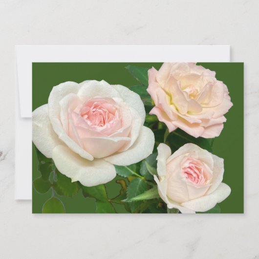 Invitation roses blanches roses roses romantiques (Devant)