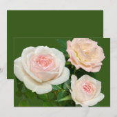 Invitation roses blanches roses roses romantiques (Devant / Derrière)