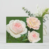 Invitation Roses romantiques blanches roses (Debout devant)