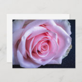 Invitation Roses roses et vertes (Devant / Derrière)