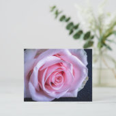 Invitation Roses roses et verts (Debout devant)