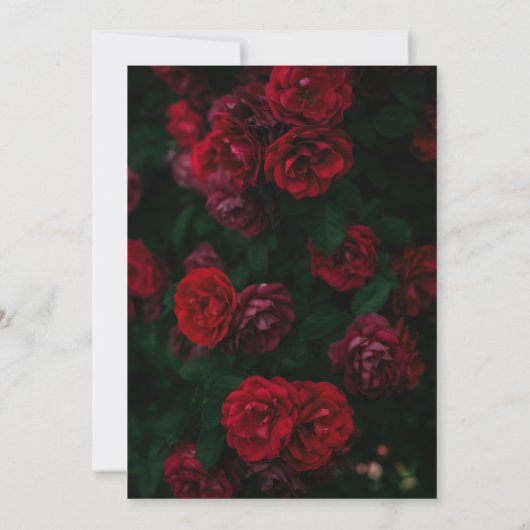 Invitation Roses rouges avec textes blancs Enregistrer la dat (Dos)