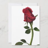 Invitation Roses rouges peintes | Blanc (Dos)