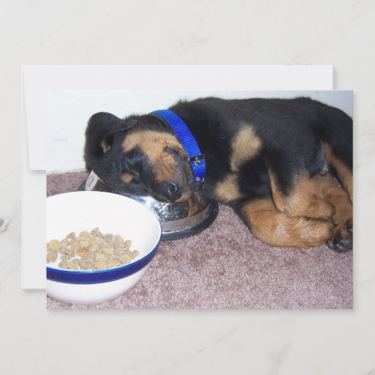 Invitation rottweiler (Devant)