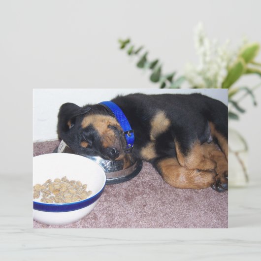 Invitation rottweiler (Debout devant)