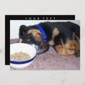 Invitation rottweiler (Devant / Derrière)