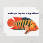 Invitation rouge de Cichlid de terreur (Devant / Derrière)