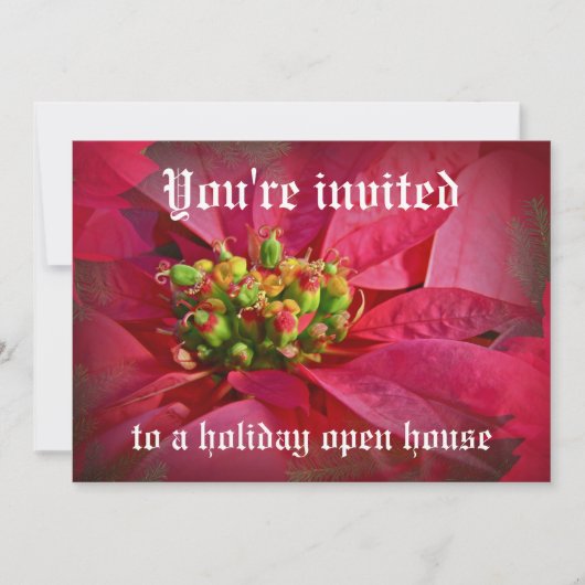 Invitation Rouge Poinsettia - Noël (Devant)