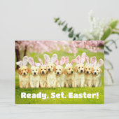 Invitation Row of Puppy Bunnies (Debout devant)