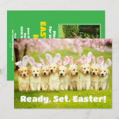 Invitation Row of Puppy Bunnies (Devant / Derrière)