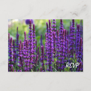 Invitation RSVP Flowers Lavender