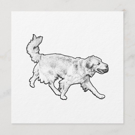 Invitation Rushing Trail Welcome (Devant)