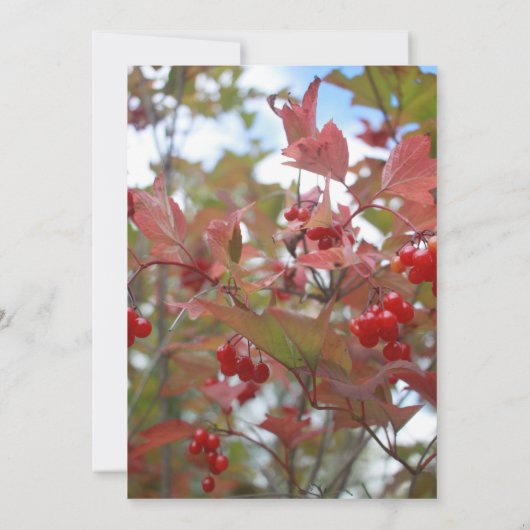 Invitation Rustic Fall Feuilles Automne Berries Photo Mariage (Dos)