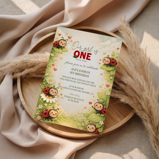 Invitation Rustic Floral Lady Bug 1st Birthday