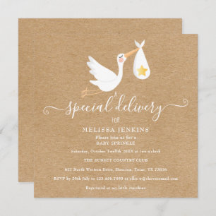 Invitation Rustic Special Delivery Stork Baby Sprinkle Douche