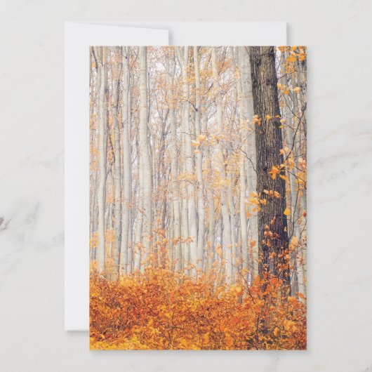 Invitation Rustique Automne Feuilles Mariage (Dos)