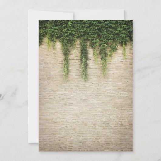 Invitation Rustique Château de Pierre Église String Mariage (Dos)