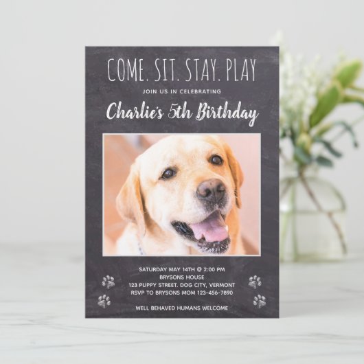 Invitation Rustique Chien Chien Chien Chien Anniversaire Phot (Debout devant)