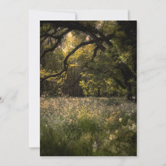 Invitation Rustique Floral Enchanted Forest Tree Printemps Fo (Dos)